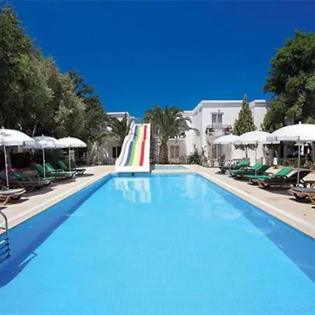 Hotel Artinus Torba